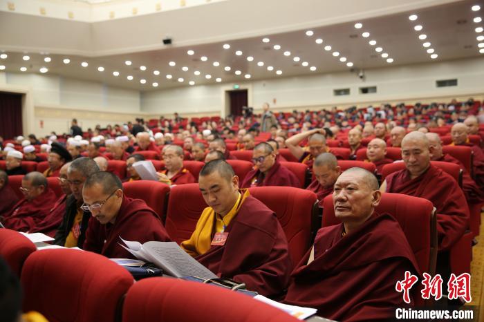 图为会议现场 周瑞辰子 摄