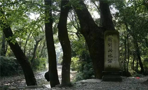 微信图片_20200429110311.jpg