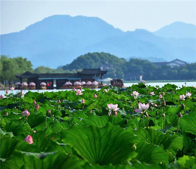 640.webp (2)_副本.jpg