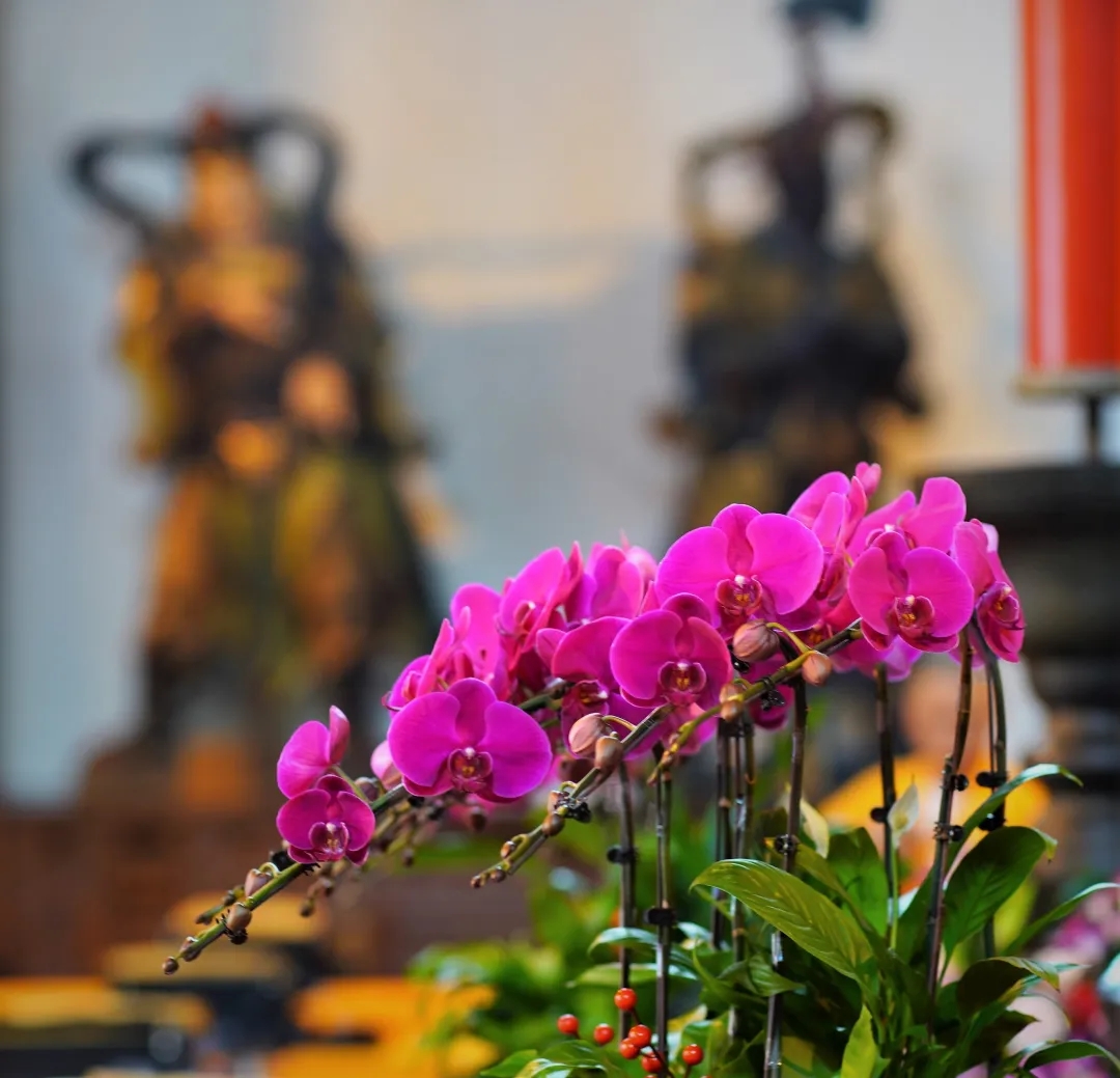 1594861473524403.jpg 640 (1).webp.jpg