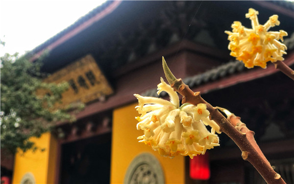 微信图片_202102241629216.jpg